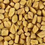 Fenugreek